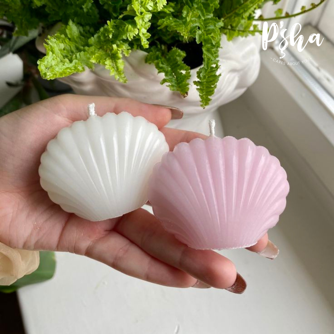 Shell Candles / Mini Shell Candle - Many Colours and Fragrances