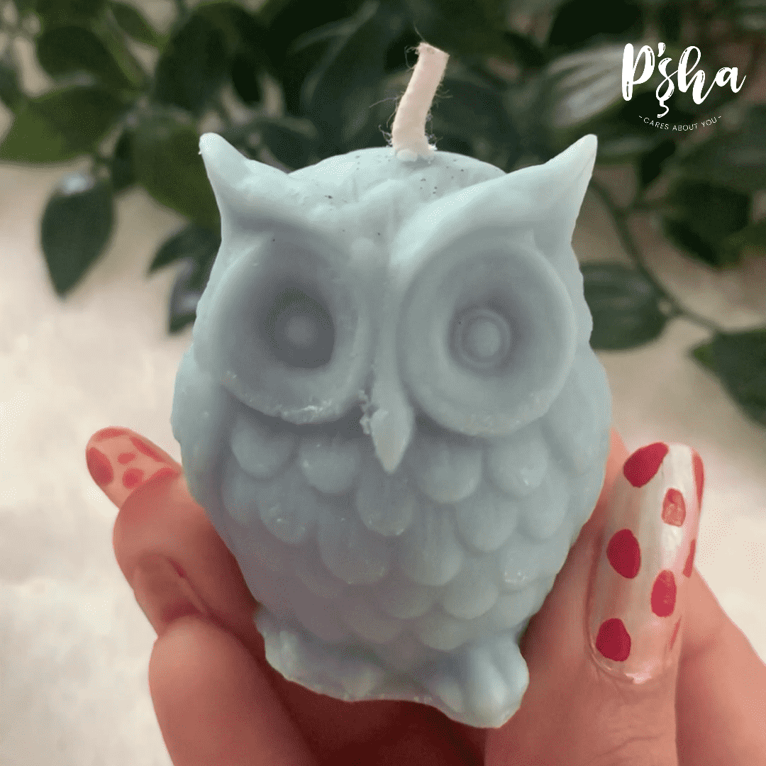 Owl Candle - Pshacares