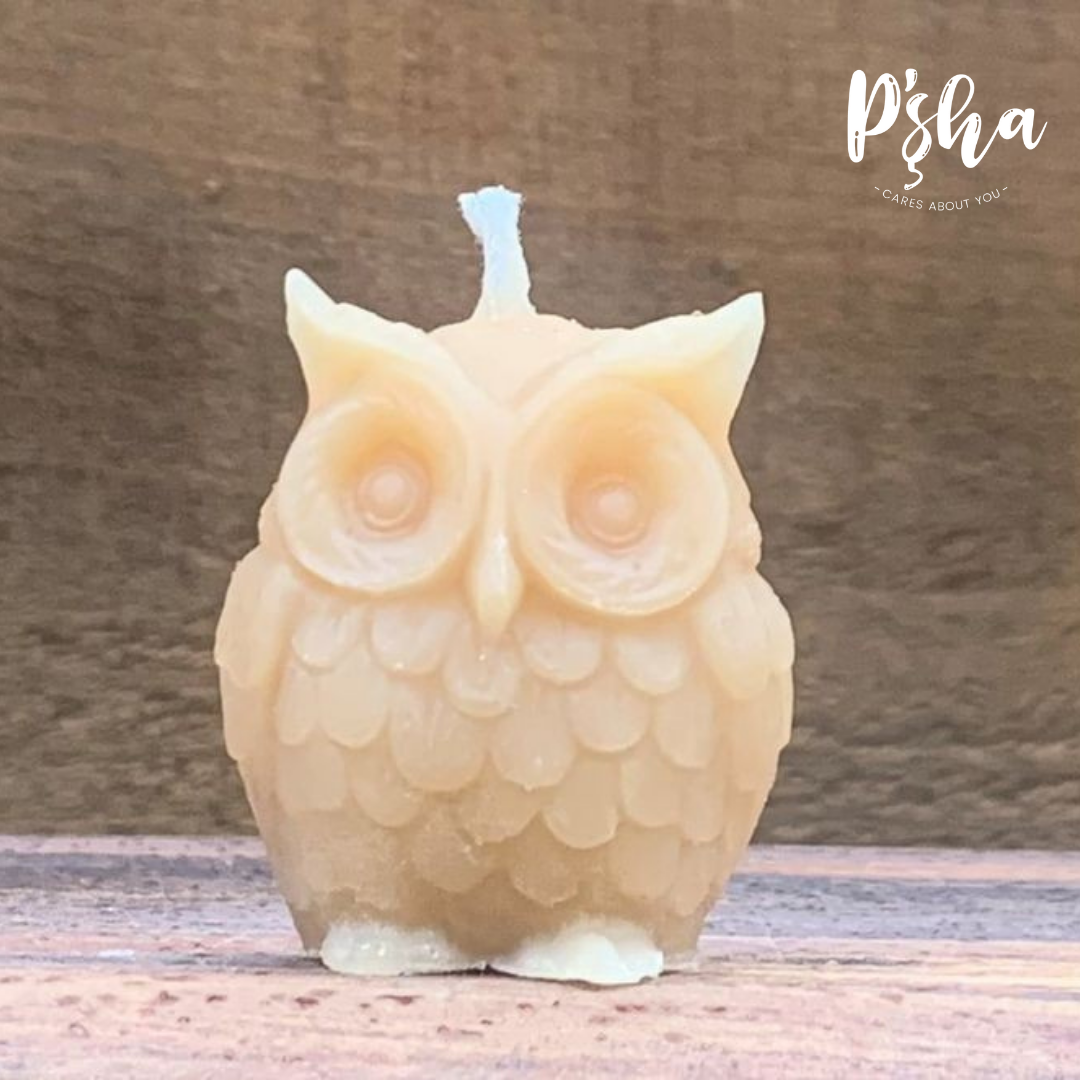 Owl Candle - Pshacares
